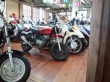 shop_5145_2.jpg