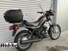 ラクーン ホンダ ６ｐｓの販売情報 Bike Shop Roma Mc 新琴似店 ウェビック バイク選び