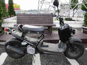 ズーマー ホンダの新車 中古バイクを神奈川県 厚木市から探す ウェビック バイク選び