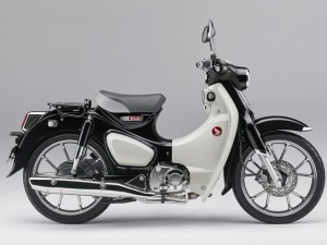 静岡県 沼津市からスーパーカブc125 ホンダの新車 中古バイク一覧 走行距離の少ない順 ウェビック バイク選び 静岡県 沼津市からスーパーカブc125 ホンダの新車 中古バイク一覧 走行距離の少ない順 ウェビック バイク選び