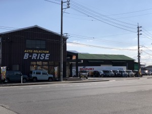 B-RISE
