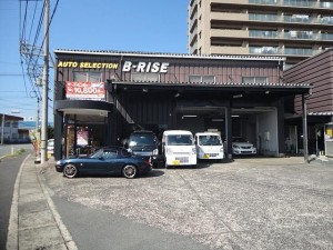 B-RISE
