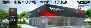 YSP友泉
