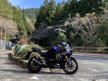 サリオンさん:「」とオーナーレビュー