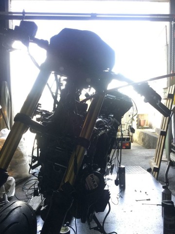 デンデさん:「」とオーナーレビュー