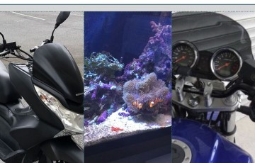 おー24さん:「」とオーナーレビュー
