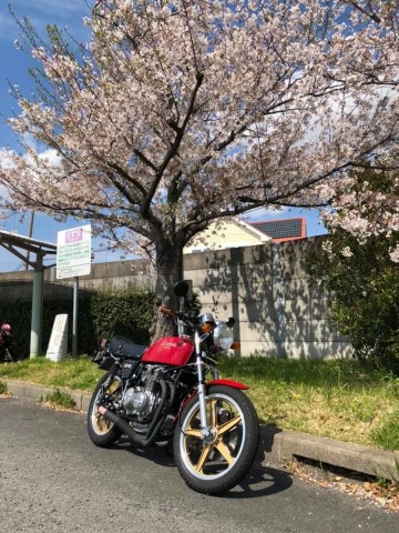 ムームーさん:「ヨンフォア」とオーナーレビュー