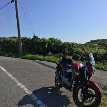 さん:「」とオーナーレビュー