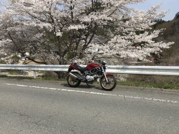 shimoさん:「」とオーナーレビュー