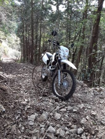 2020-06-17_motorepo_klx125_1-340x453.jpg