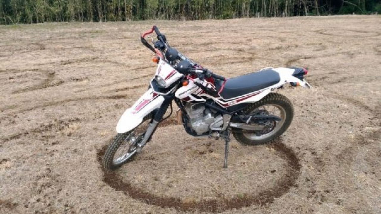 セロー 250 オーナーレビュー ウェビックユーザーの 愛車を語ろう