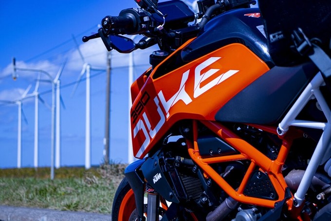 390duke_33.jpg