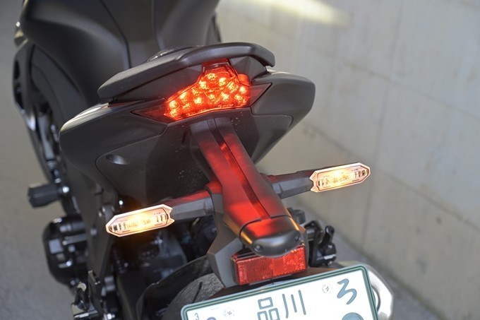 Z1000_17.jpg