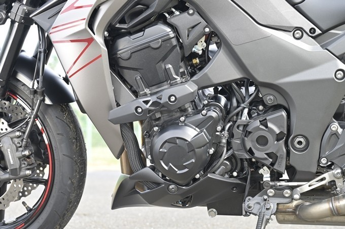 Z1000_21.jpg