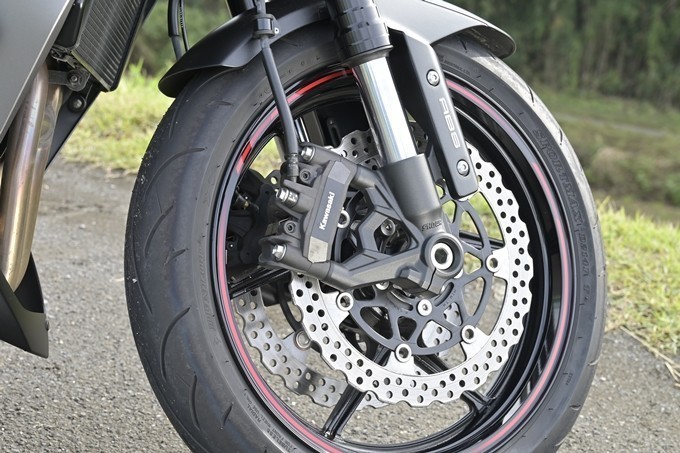 Z1000_28.jpg